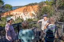 Tour from Eden to Merimbula Wetlands Wildlife and Coastline