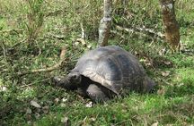 Galapagos Santa Cruz 4 Days Adventure