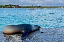 Galapagos Santa Cruz 4 Days Adventure