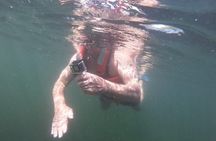 Galapagos Santa Cruz 4 Days Adventure