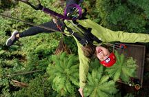 Rotorua’s Ultimate Zipline: 6 ziplines, 400 m Tandem, Cliff Walk