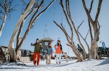 Mt Buller Ski Resort 1 Day Tour 
