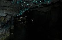 From Hamilton: Waitomo Glowworm & Cave Explorer Small Group Tour