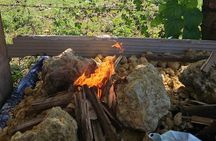 Horses, Buggy, and plantation in Chocaci Ranch