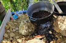 Horses, Buggy, and plantation in Chocaci Ranch