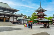 Narita-san Private Layover Tour from Narita International Airport