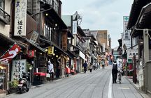 Narita-san Private Layover Tour from Narita International Airport