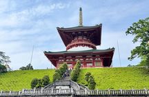 Narita-san Private Layover Tour from Narita International Airport