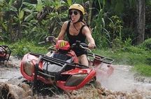 Bali ATV Quad Bike Monkey Forest Jungle Swing with Lunch