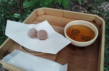 Kyoto: Kamigamo and Shimogamo Shrines Guided Tour 3h