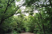 Kyoto: Kamigamo and Shimogamo Shrines Guided Tour 3h