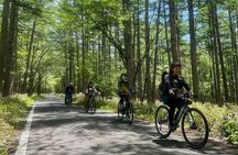 Nikko: Kegon Falls & Lake Chuzenji 3-Hour E-Bike Tour