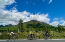 Nikko: Kegon Falls & Lake Chuzenji 3-Hour E-Bike Tour