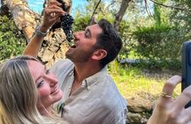 Small Group Chianti Wine Tour with a Somm