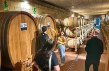 Small Group Chianti Wine Tour with a Somm