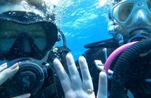 Private Dive Discovery for Beginners from a Boat
