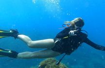 Private Dive Discovery for Beginners from a Boat