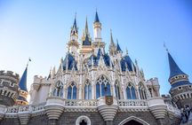 Private Tokyo Disneyland/DisneySea Tour with Car Transportation