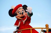Private Tokyo Disneyland/DisneySea Tour with Car Transportation