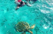 Mauritius North Tour and Turtle Snorkeling