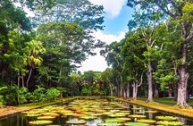 Mauritius North Tour and Turtle Snorkeling