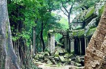 Angkor Wat Temples Private Day Tour from Siem Reap