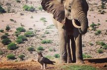 Two-Day Amboseli National Park Private Jeep Tour