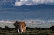 Two-Day Amboseli National Park Private Jeep Tour