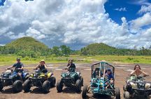 Shared Tour to Chocolate Hills, Tarsiers, & River Lunch in Bohol
