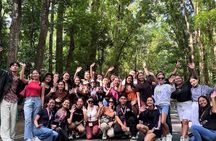 Bohol Chocolate Hills, Tarsiers, & Loboc River Private Day Tour