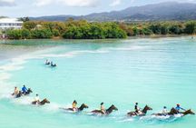 Horseback Ride/Swim and Blue Hole Falls Tour