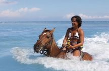 Horseback Ride/Swim and Blue Hole Falls Tour