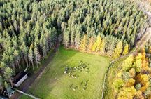 Authentic Reindeer Farm and Canoe Experience from Rovaniemi