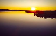 Midnight Sun Delight