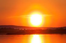 Midnight Sun Delight