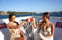 Miami Millionaire’s Row Sightseeing Cruise around Biscayne Bay