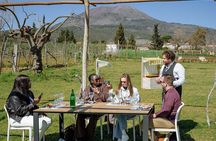 Pompeii Guided Tour & Lunch with Superior Wine Tasting