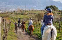 Horseback Riding on Mt. Vesuvius with Wine Tasting and Dinner