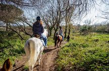 Pompeii Guided Tour & Horse Riding on Vesuvius with Lunch