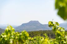 Provence Wine Tour - Small Group Tour from Nice