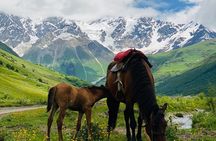 Hidden Gem With Salou Near Tbilisi