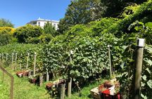 Belleville Winebar Crawl