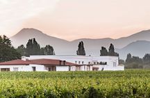 Bike and Wine Experience in Luján de Cuyo, Mendoza
