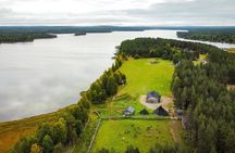 Reindeer Farm and Ranua Wildlife Park