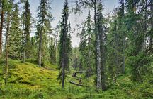 Korouoma Canyon Wilderness Hike