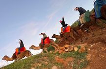 Tangier : Sunset Camel Ride With Barbecue dinner in Tangier 