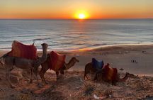 Tangier : Sunset Camel Ride With Barbecue dinner in Tangier 