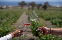 Volcanic Elegance- 2 Winery Tour with Wine Tastings & snacks