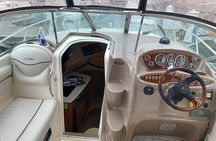 Chicago City Boat Tours 