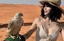 Premium Desert Safari Experience with Live BBQ Dinner and Luxury